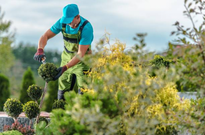 Serviços de Jardinagem Serviços de Jardinagem
