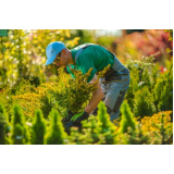 empresas-de-jardinagem-empresa-de-jardinagem-e-limpeza-contato-de-empresa-de-jardinagem-paisagismo-zona-norte