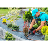 servicos-de-jardinagem-servico-de-jardinagem-e-paisagismo-em-condominios-empresa-especializada-em-servico-de-jardinagem-sao-caetano-do-sul